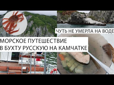 Видео: Камчатка | Бухта Русская | Морская прогулка