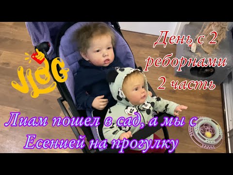 Видео: Прогулка с Лиамом и Есенией День с 2 реборнами 2 часть
