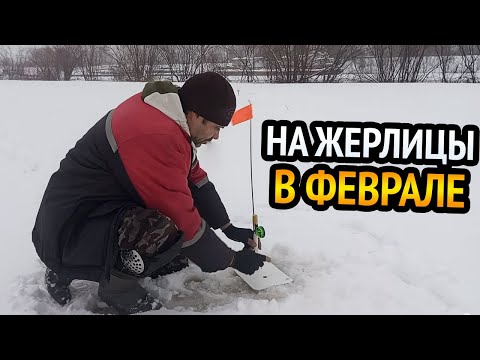 Видео: НЕРВНАЯ РЫБАЛКА НА ЖЕРЛИЦЫ В ФЕВРАЛЕ!!! СРАБОТКА ЗА СРАБОТКОЙ!!! ЩУКА В АКТИВНОМ ПОИСКЕ.