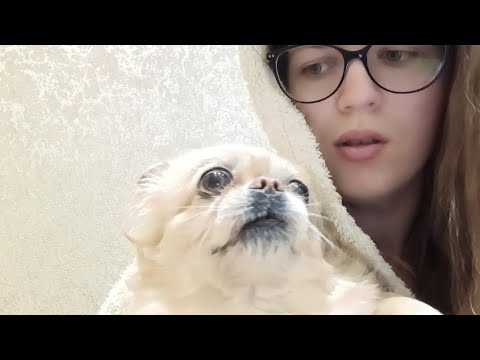 Видео: 🤔 Я НЕ КРАСИВАЯ? ПЕРЕЖИЛИ СТРАШНУЮ НОЧЬ В КРИВОМ РОГЕ🙏 
