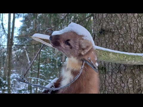 Видео: Новогодняя проверка перед Рождеством 🎊🥂всех с наступающим Рождеством,и новым годом друзья.Удача.👍