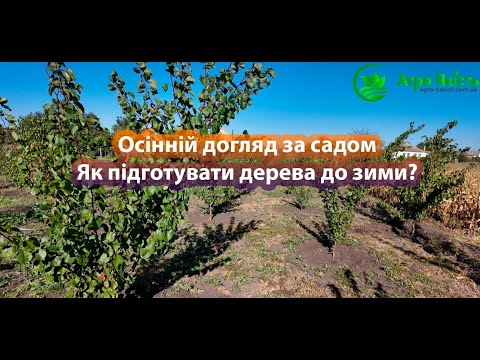 Видео: Підживлення саду восени🌳Як підготувати дерева до зими? ❄️
