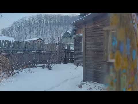 Видео: новогодние каникулы 2024 в Тигровом #cabincore #cottagecore #домиквдеревне #приморье