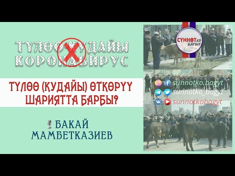 Видео: Түлөө (кудайы) өткөрүү шариятта барбы?