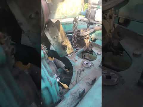 Видео: 12 октября 2025 г.