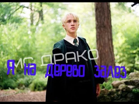 Видео: МС ДРАКО - Я на дерево залез [тает лёд]