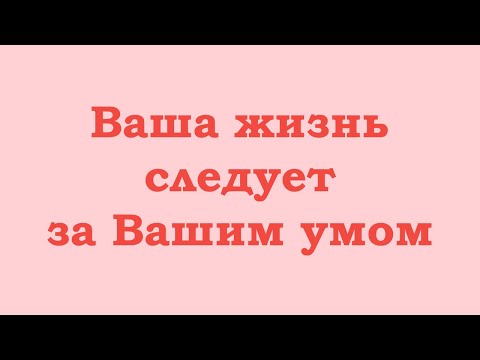 Видео: Ваша жизнь следует за Вашим умом