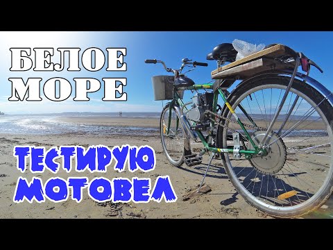 Видео: Тестирую мотовелосипед с мотором 4т 144F. Еду на белое море.