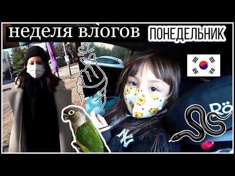 Видео: Неделя влогов/Понедельник/ KOREA VLOG/