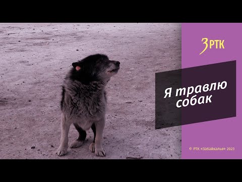 Видео: Откровение догхантера: я не вешаю головы на стену, у меня у самого есть собака