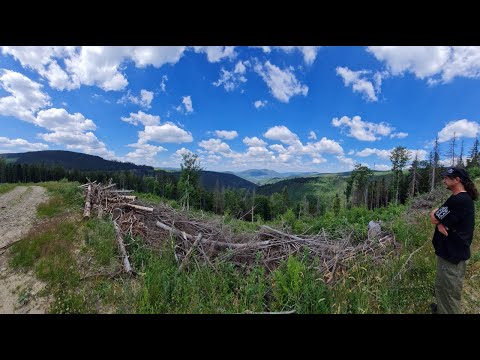Видео: Цілюще Джерело ! Карпатські літаки.