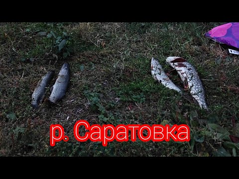 Видео: Первый осенний выезд на щуку 