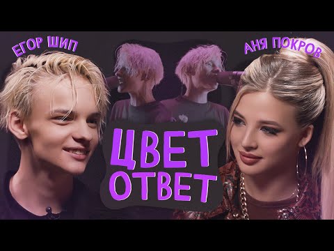 Видео: ЕГОР ШИП: первая встреча с Аней, скандал на Песне Года и хайп с BTS | ЦВЕТОТВЕТ с Аней Покров!