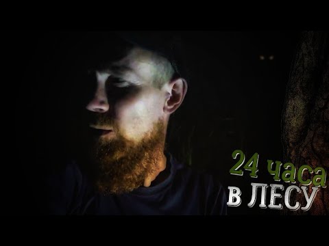 Видео: Один в Лесу / Трындец в Землянке / Собираю Дары Леса!