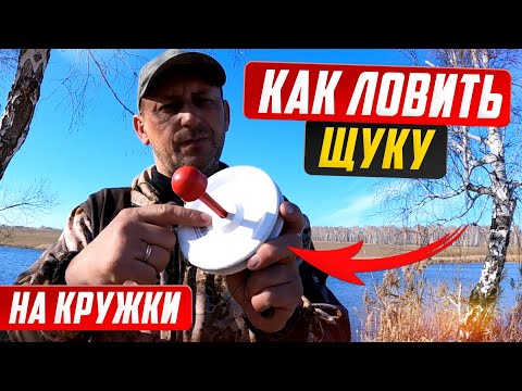 Видео: Монтаж и оснастка кружков на ЩУКУ. Как ставить кружки, как ловить щуку на живца.