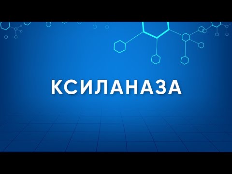 Видео: Ксиланаза (Xylanase) Назначение. Производство. Применение. Энзимология в деталях.