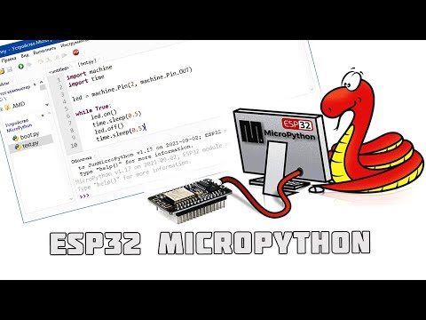 Видео: Урок 2.  ESP32 MicroPython.  Первая программа.