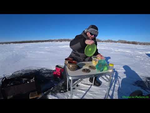 Видео: Ловим рыбу – Готовим обед! Идеальный день на Вячеславке.