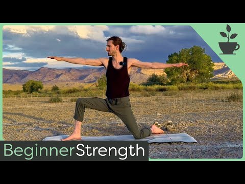 Видео: 25-минутный курс для начинающих на силу и гибкость | Йога | Тренировка бёдер, подколенных сухожил...