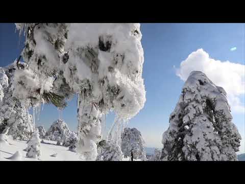 Видео: Когда у тебя не хватает решимости, вспомни...