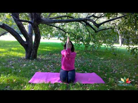 Видео: Растяжка плеч и упражнение для гибкости спины!