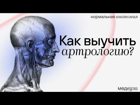 Видео: Как выучить артрологию?