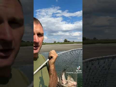 Видео: 7 ноября 2025 г.