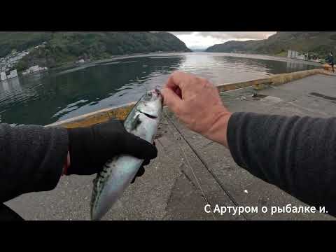 Видео: Рыбадка на 4 5 5 4  Норвежское море