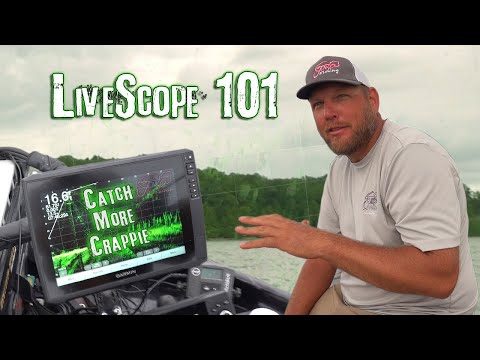 Видео: Как использовать LiveScope для ловли краппи с Тони Шеппардом + советы и рекомендации
