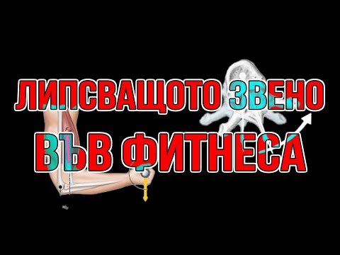 Видео: Липсващото звено във фитнеса
