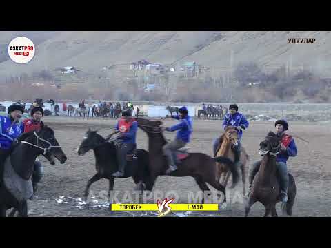 Видео: УЛУУЛАР /1-МАЙ VS ТОРОБЕК /КОК -БОРУ 2023 КАРА КУЛЖА ФЕВРАЛЬ