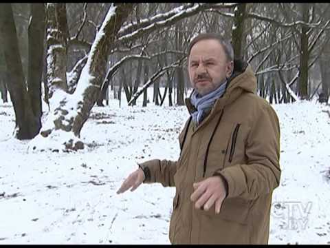 Видео: Улица Коллекторная в Минске: как она связана с Моисеем, евреями, гетто и почему носит такое название