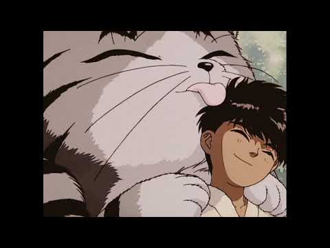 Видео: масло черного тмина - win chynn (slowed + reverb)