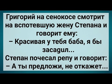 Видео: Как Григорий к Жене Степана Ходил! Сборник Свежих Анекдотов! Юмор!