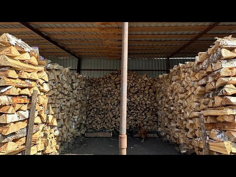 Видео: Жизнь в деревне// дрова колотые - цена на них//древесные грибы😋🤔//