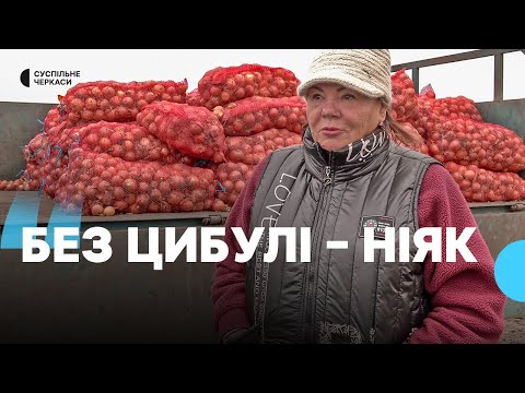 Видео: Цибулевий сезон на Черкащині: коли зростатиме ціна