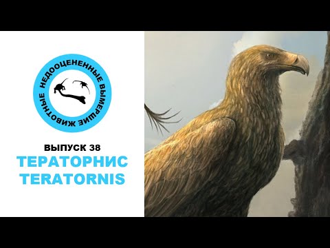 Видео: Недооцененные Вымершие Животные. Выпуск 38: Тераторнис (Teratornis)