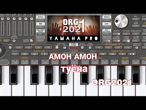 Видео: Амон Амон Туёнаш ORG2021(гушкн дамш биги)