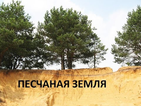 Видео: Песчаная земля-как улучшить.