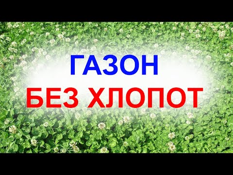 Видео: Самый дешёвый метод посадки клевера