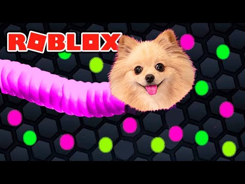 Видео: СЛИЗАРИО В РОБЛОКС или стала ЧЕРВЯКОМ в роблоксе | Wormface roblox | Slitherio в Роблоксе