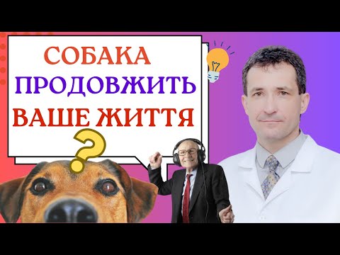 Видео: ВЛАСНИКИ СОБАК ЖИВУТЬ ДОВШЕ - ФАКТИ! #собака #здоров’я #медицина #сахалтуєв #тварини #собаки
