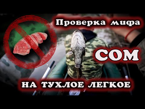 Видео: Проверка мифа "СОМ" на тухлое легкое (Рыбалка).