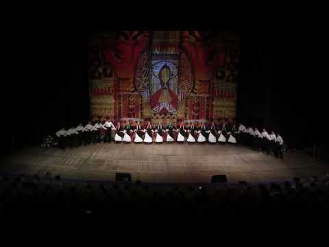 Видео: Логодажко