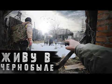 Видео: Что будет если жить в Чернобыле? Волки пришли к дому посреди ночи. Выживание в Зоне Отчуждения