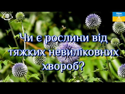 Видео: 🌺Чи є рослини від тяжких невиліковних хвороб???🌺🌺🌺