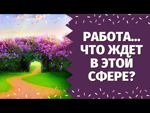 Видео: ЧТО ВАС ЖДЕТ В СФЕРЕ РАБОТЫ В БУДУЩЕМ? ЧТО ВАМ НАДО ЗНАТЬ ПРЯМО СЕЙЧАС? Таро онлайн