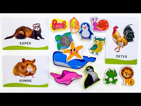 Видео: Малыш Учит Названия Животных 🐯🦓 Развивающее Видео для Запуска Речи 🎉🐾