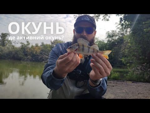 Видео: Коротка рибалка на чудовому озері! Окунь клював!