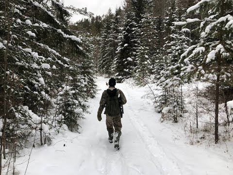 Видео: Охота зимой с Фокстерьером в Манской тайге. Красноярский край, Восточный Саян.
